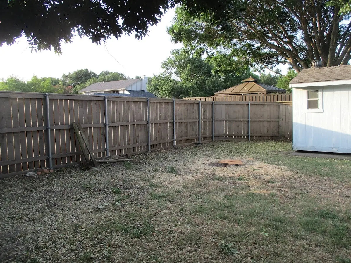 Cleared yard after professional tree removal in Bay Village